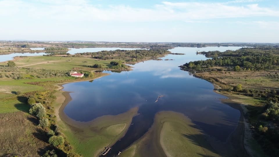 Barragem da Marateca como está hoje — albufeira rodeada de campos e floresta